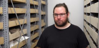 Naukowcy co rusz odkrywają nieznane dotąd wirusy z czasów prehistorycznych. Najstarsze pochodzą sprzed setek milionów lat i wciąż mogą zagrażać ludzkości