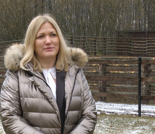 Kolejny park narodowy stawia na instalacje fotowoltaiczne. Inwestycja w Dolinie Biebrzy pozwoli zredukować emisję CO2 o 20 ton rocznie