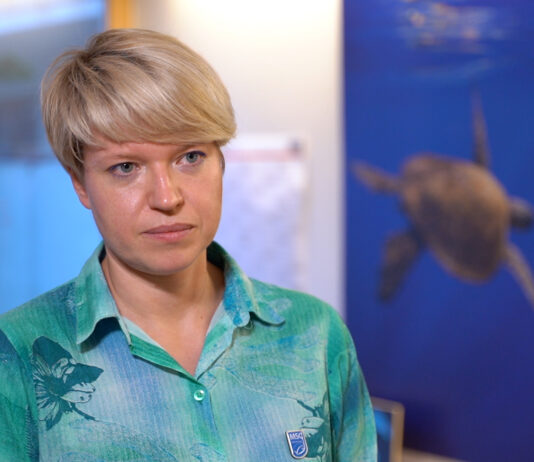 Rośnie zainteresowanie białymi rybami jak dorsz czy mintaj. W Polsce zaledwie 5–10 proc. sprzedaży pochodzi ze zrównoważonych połowów